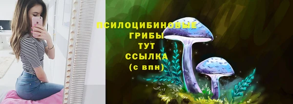 MESCALINE Осинники