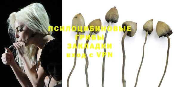 MESCALINE Осинники