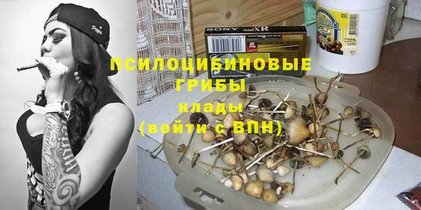 тгк Осташков